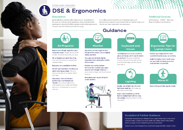 Risk Assessment DSE-Ergonomics.png